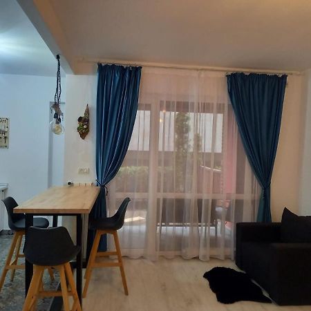 Belleview North Studio Appartement Sinaia Buitenkant foto