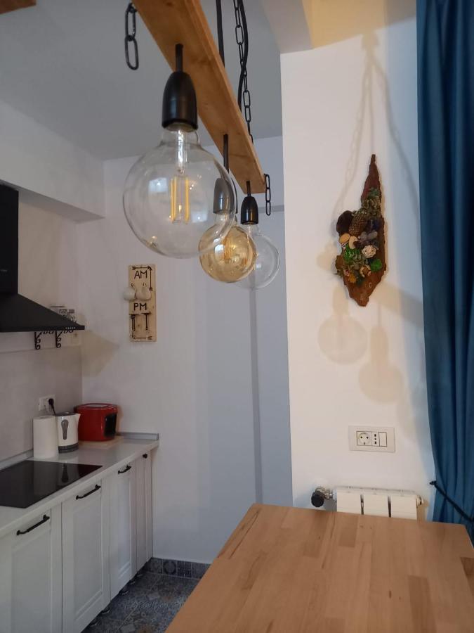 Belleview North Studio Appartement Sinaia Buitenkant foto